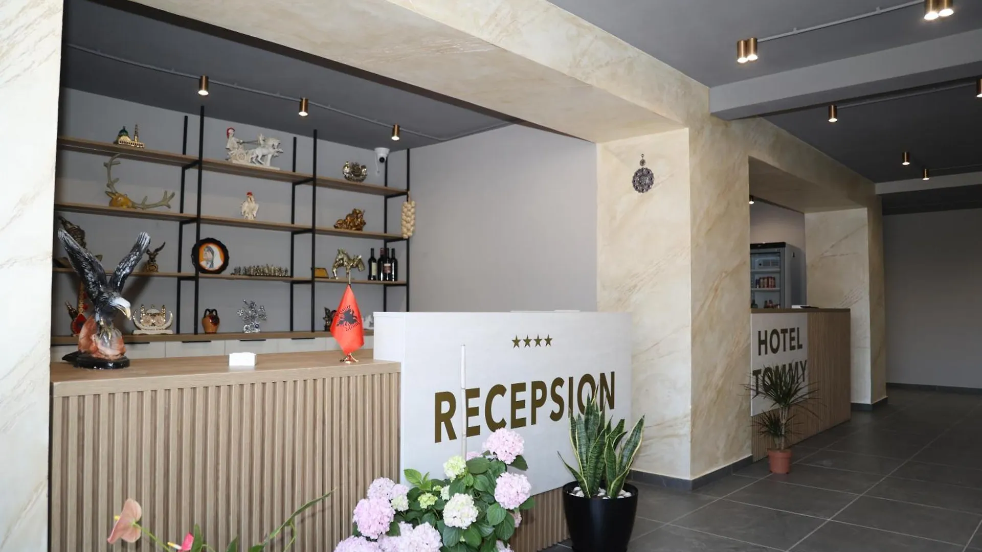 Kalpazo Hotel Tommy Durres Bisht Kamez Albanie